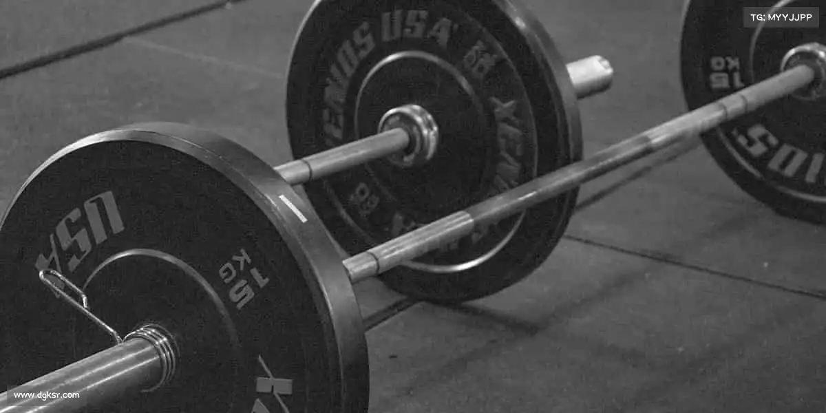 森林舞会多人版——以运动为笔,书写属于你的健康篇章!🏋️♀️